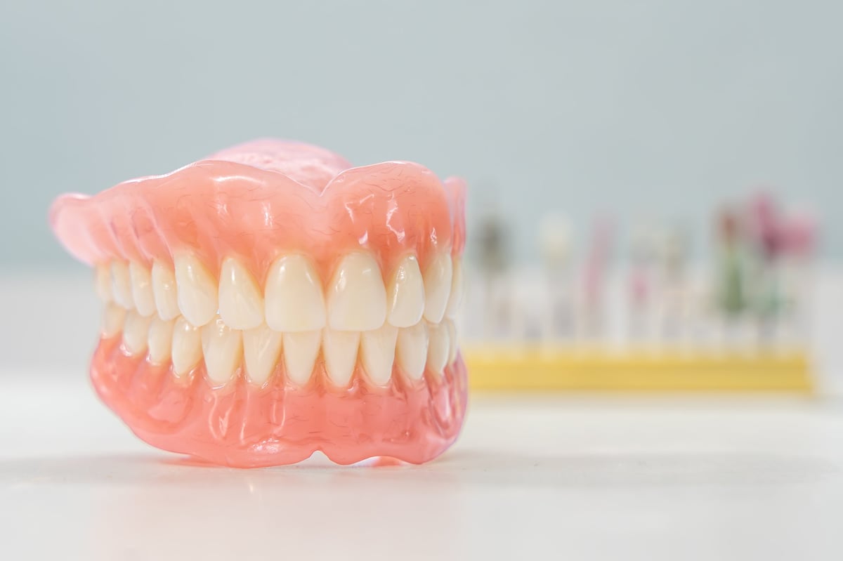Close-up of a dental prosthetic model with artificial teeth and gums
